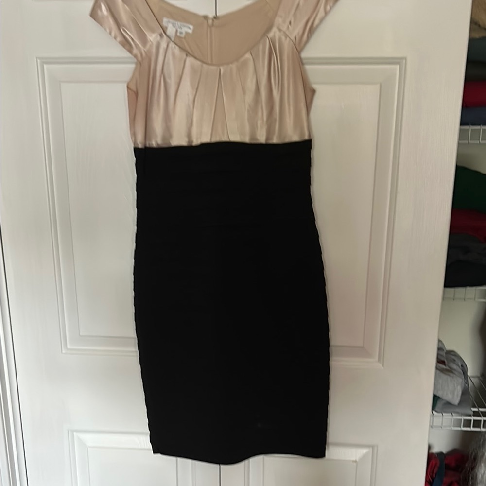 Elegant Black and Champagne Dress